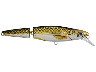 Koppers Live Target Jointed Rainbow Smelt