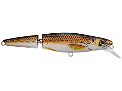 Koppers Live Target Jointed Rainbow Smelt
