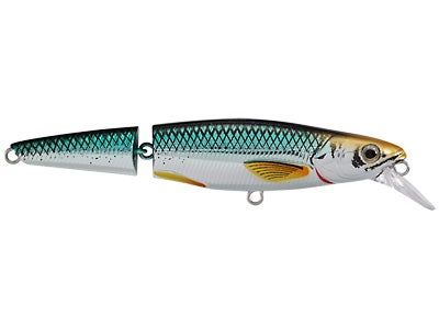 Koppers Live Target Jointed Rainbow Smelt