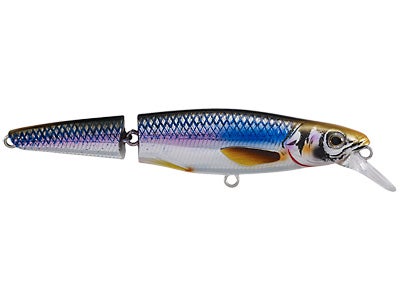 Koppers Live Target Jointed Rainbow Smelt