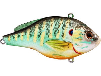 Koppers Live Target Pumpkinseed Vibration Trap