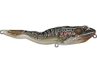 Live Target Frog