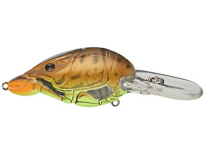Koppers Live Target Hunt For Center Crawfish Crank