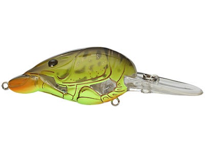 Koppers Live Target Hunt For Center Crawfish Crank