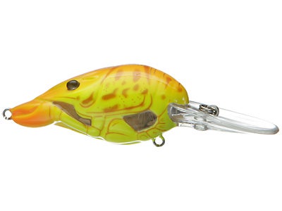 Koppers Live Target Hunt For Center Crawfish Crank