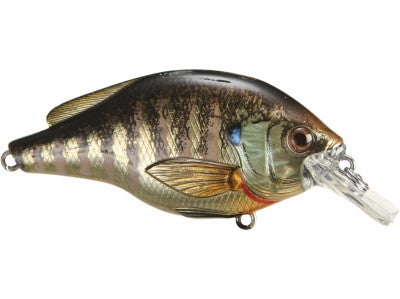 LIVETARGET Bluegill Square Bill Crankbait