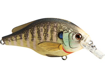 Koppers Live Target Bluegill Square Bill Crankbait