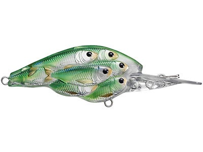 LIVETARGET Yearling Baitball Crankbait