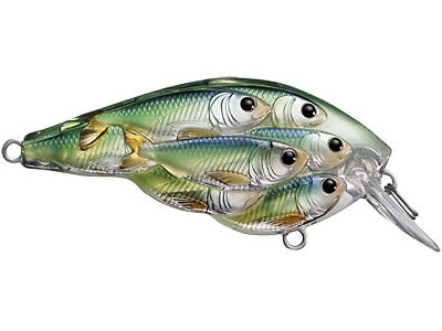 LIVETARGET Yearling Baitball Squarebill Crankbait