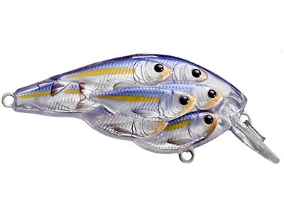LIVETARGET Yearling Baitball Squarebill Crankbait