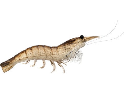 Koppers Live Target Shrimp 4pk