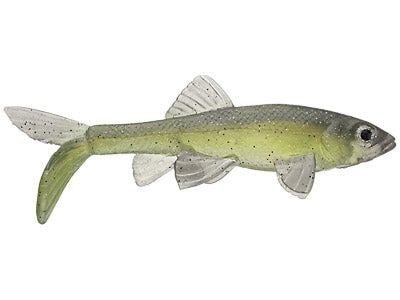 Little Creeper All American Trash Fish Swimbaits 2pk