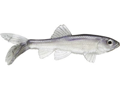 Little Creeper All American Trash Fish Swimbaits 2pk