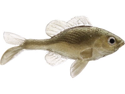 Little Creeper All American Sunfish 2pk