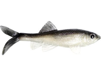 Little Creeper Baby Trash Fish 2pk