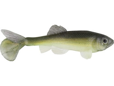 Little Creeper Fatty Trash Fish