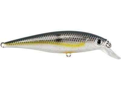 Lucky Craft Pointer Minnow