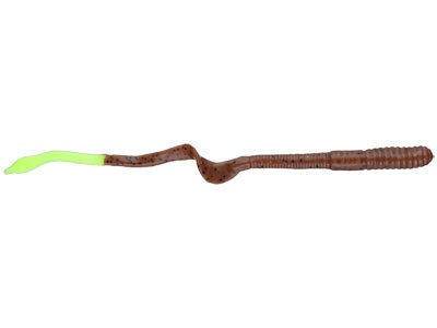 Mann's Augertail Worm