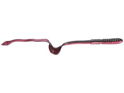 Mann's Augertail Worm