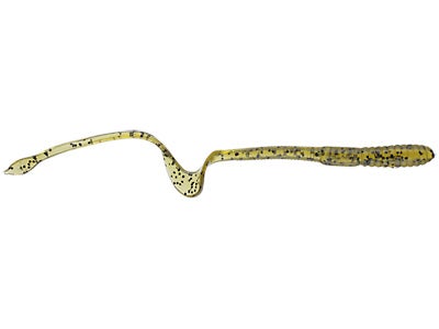 Mann's Augertail Worm