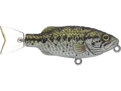 Moreau Baits 3