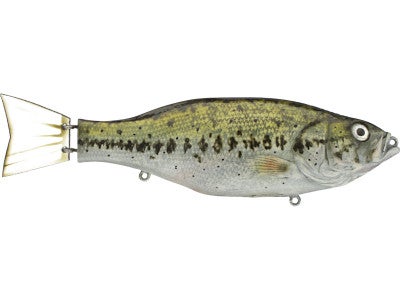 Moreau Baits 8.5