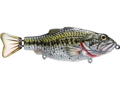 Moreau Baits 5