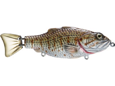 Moreau Baits 5