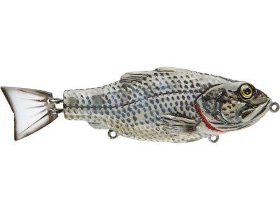 Moreau Baits 5