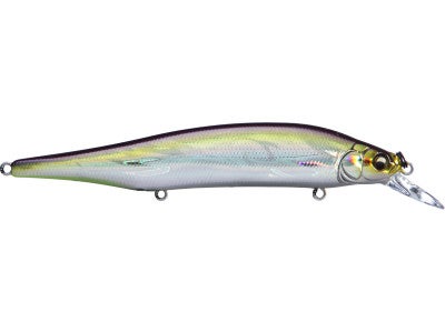 Megabass Ito Shiner