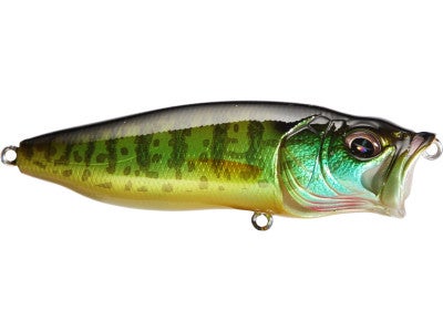 Megabass Pop Max