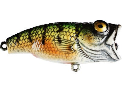 Moreau Baits Walking Popper Jr.