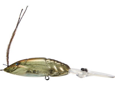 Megabass X-Dad Crankbait