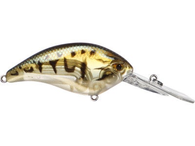 Molix F Crank DR Crankbait