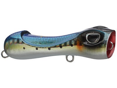 Molix S Popper 65