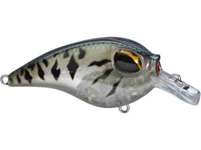 Molix SB Crankbait