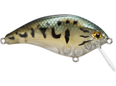 Molix F Crank SR Crankbait