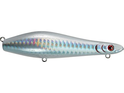 Molix Proteus