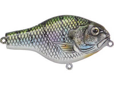 Moreau Baits 3