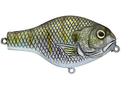 Moreau Baits 3