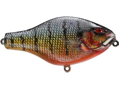 Moreau Baits 4