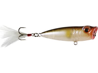 Owner Cultiva Gobo Popper