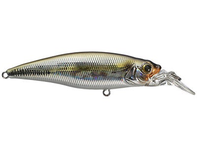 Owner Cultiva Savoy Shad