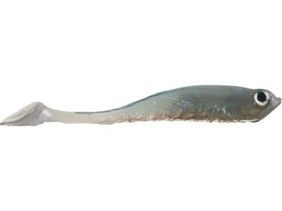Panic Minnow Swimtail