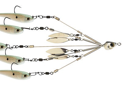 Picasso Finesse School E Rig Bait Ball