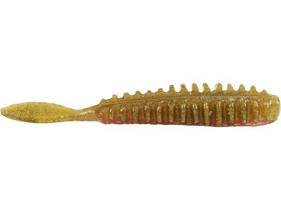 Poor Boy's Erie Darter