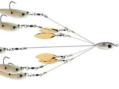 Picasso School E Rig Bait Ball