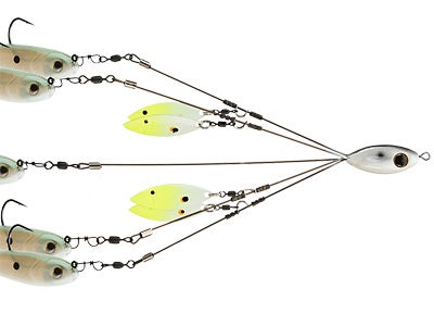 Picasso School E Rig Bait Ball