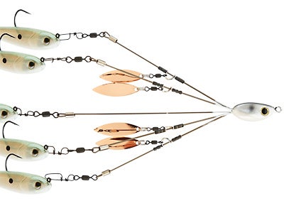 Picasso School E Rig Bait Ball Jr.