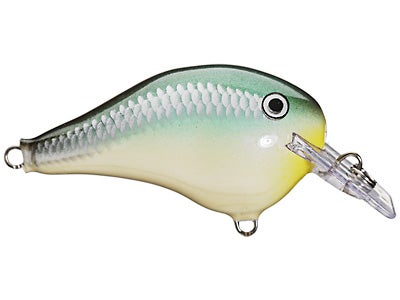 Rapala DT Fat